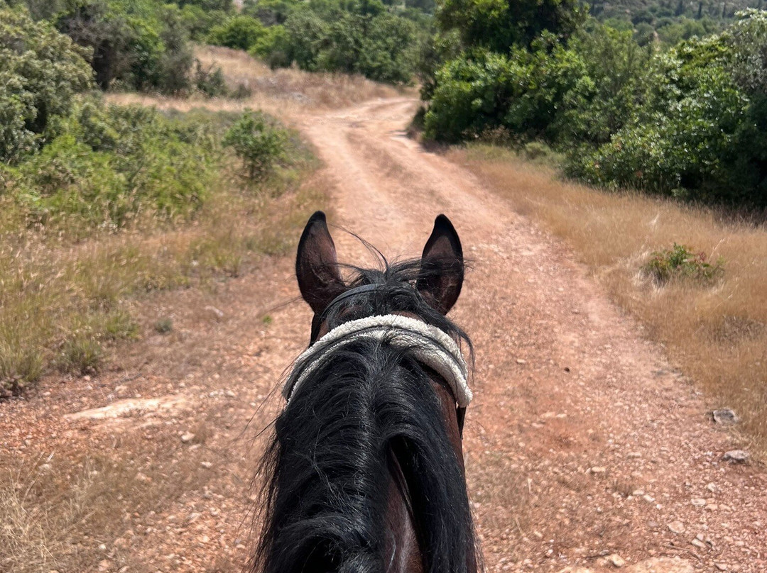 Horse Riding Paphos - Eagle Mountain Ranch-帕福斯必去景点
