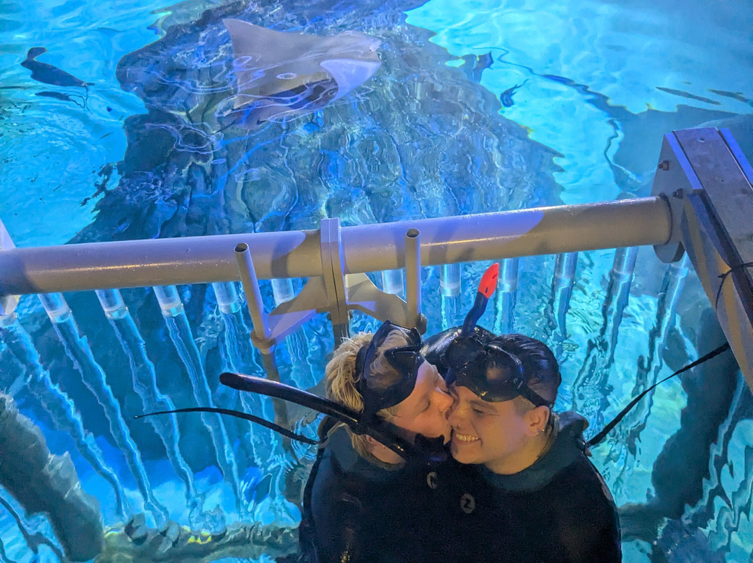 Sea Life Manchester-Trafford Park必去景点