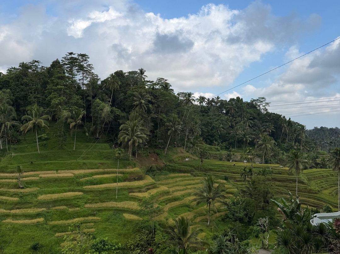 Bali Viaje-Batubulan必去景点