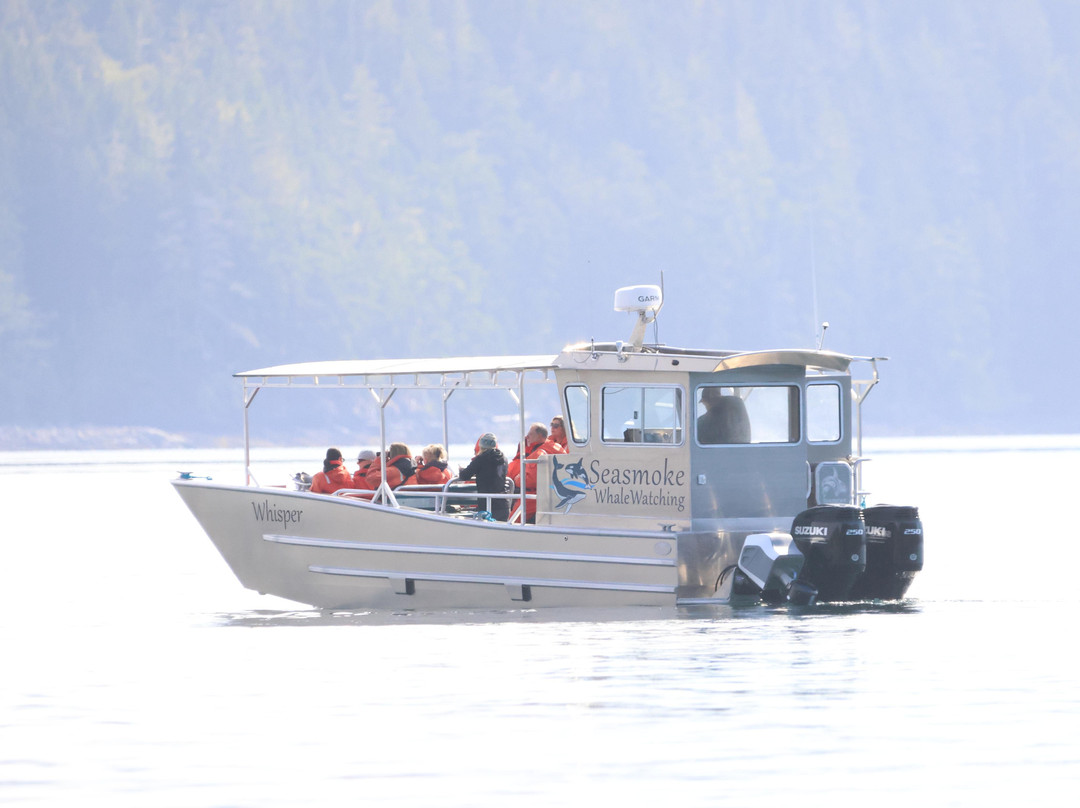 Seasmoke Whale Watching-Alert Bay必去景点