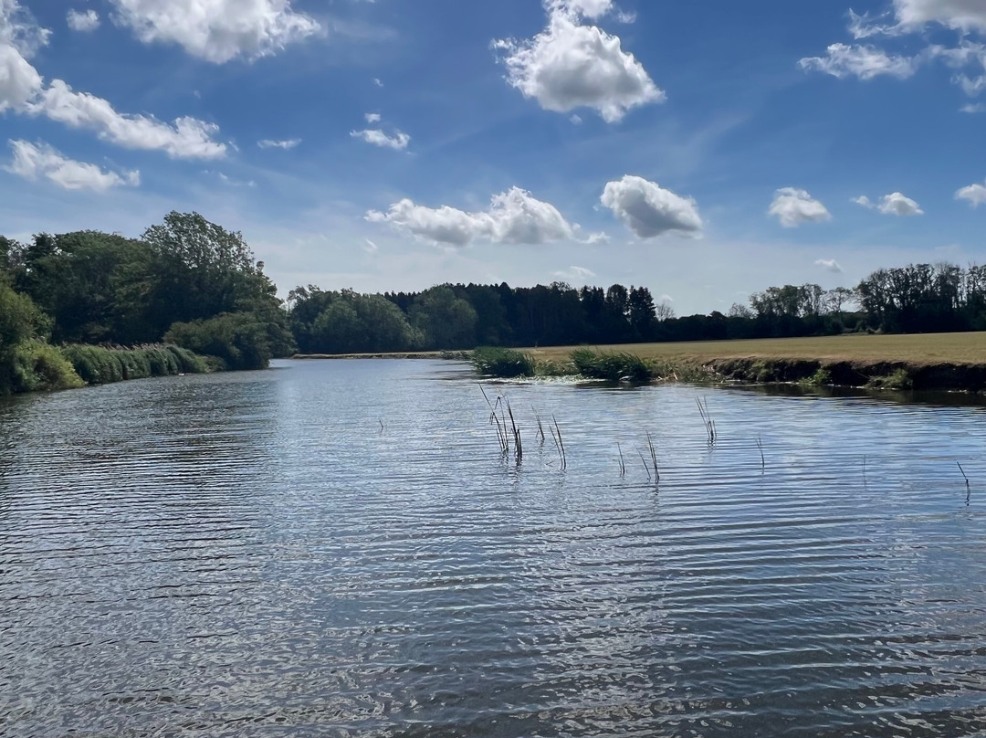 Champion Paddle and Path