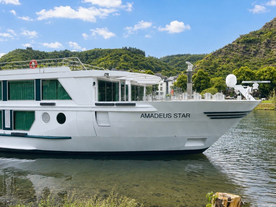 AMADEUS River Cruises-Burr Ridge必去景点