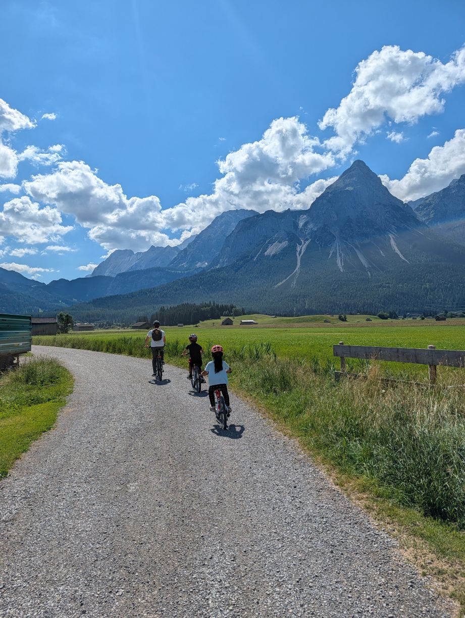 Alpenrose - Familux Resort-旅行者