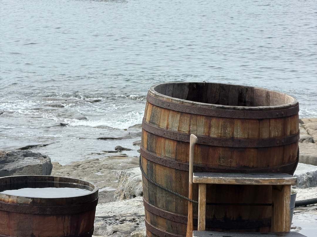 Wild Atlantic Seaweed Baths-Ballaghaline必去景点