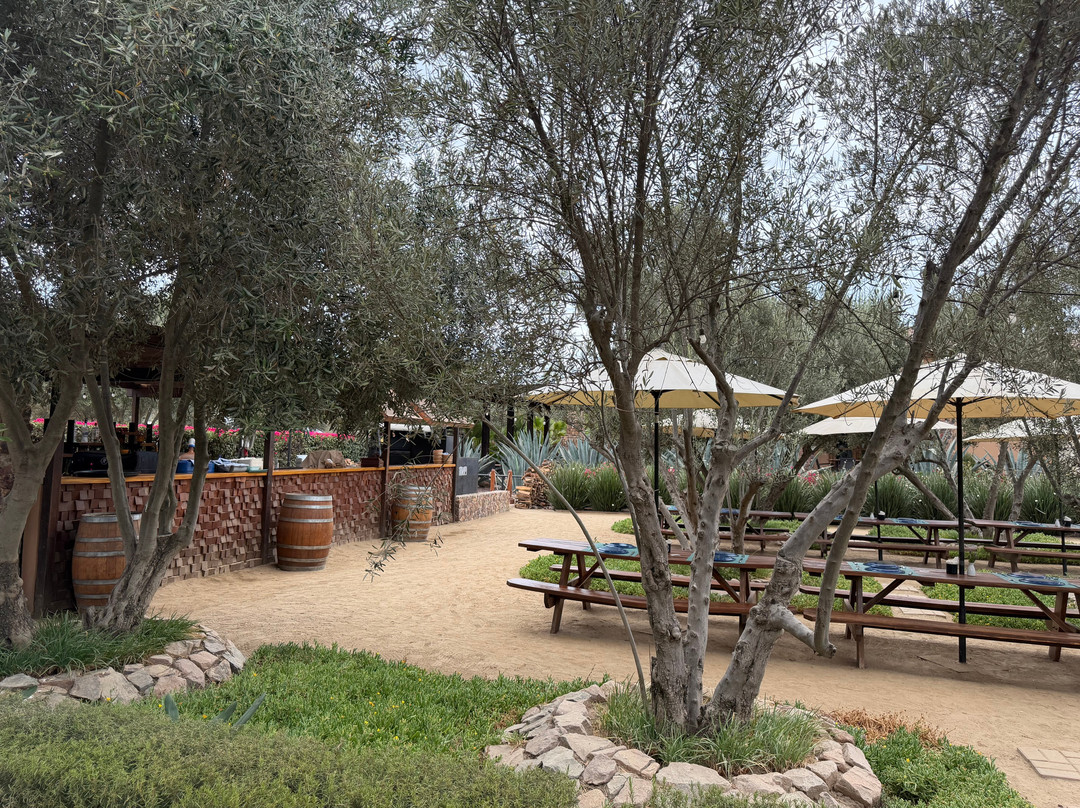 El Cielo Valle de Guadalupe-Valle de Guadalupe必去景点