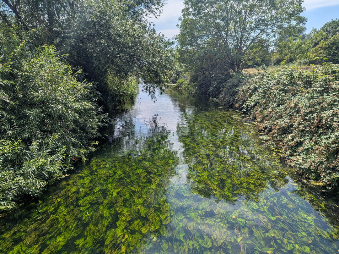 Walthamstow Wetlands-伦敦必去景点