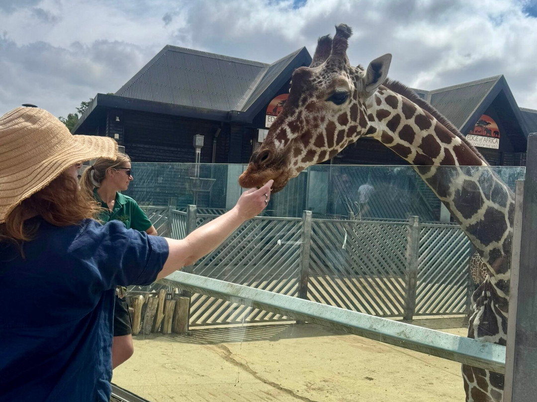 Colchester Zoo-科尔切斯特必去景点