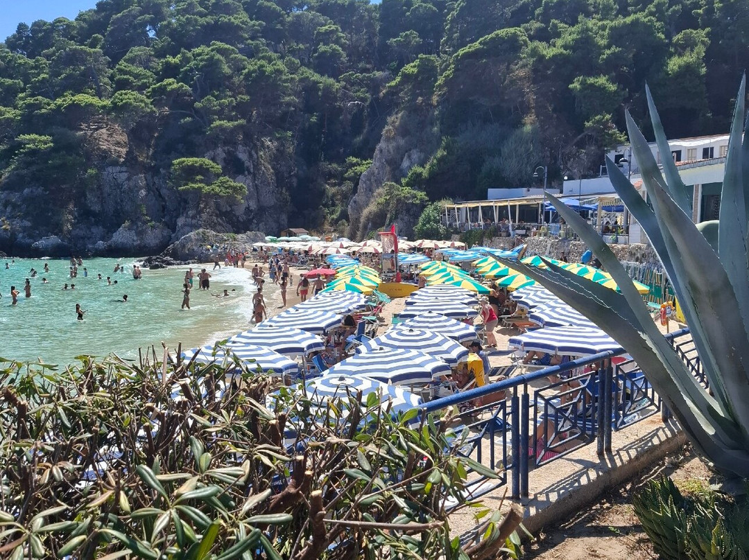 Isole Tremiti-San Domino必去景点