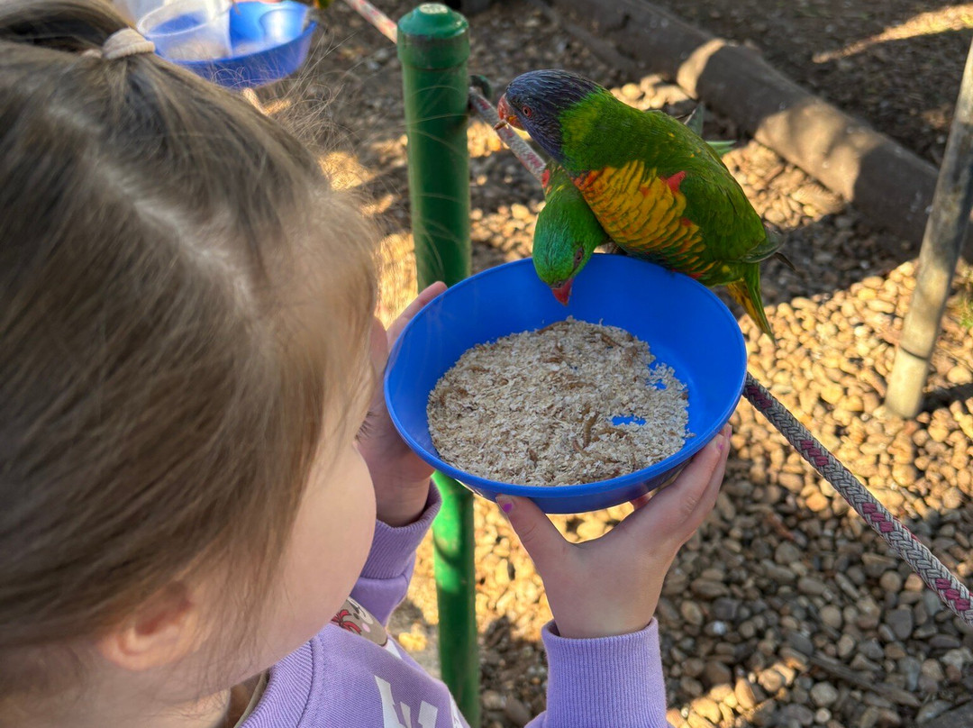 Canberra Walk in Aviary-尼克斯必去景点