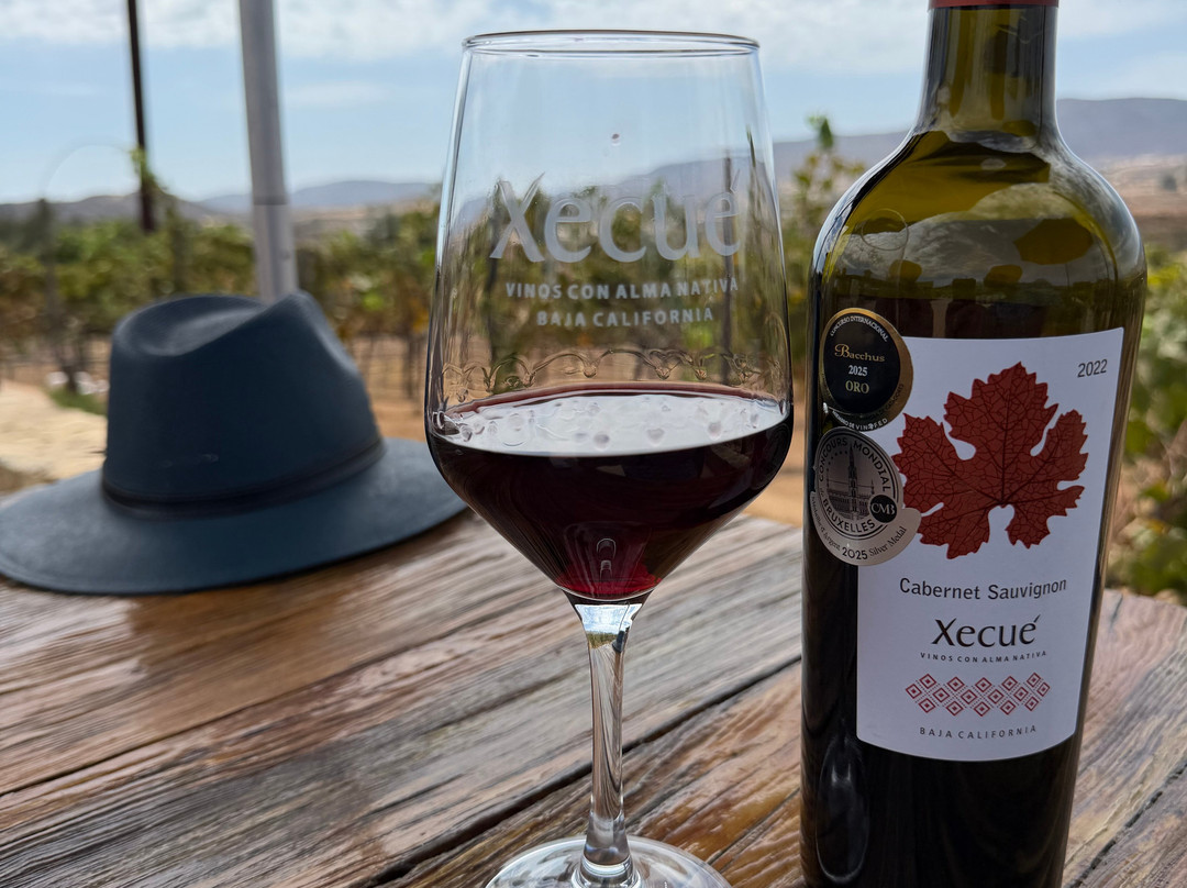 Xecue Vinicola-Valle de Guadalupe必去景点