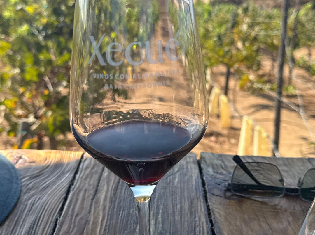 Xecue Vinicola-Valle de Guadalupe必去景点