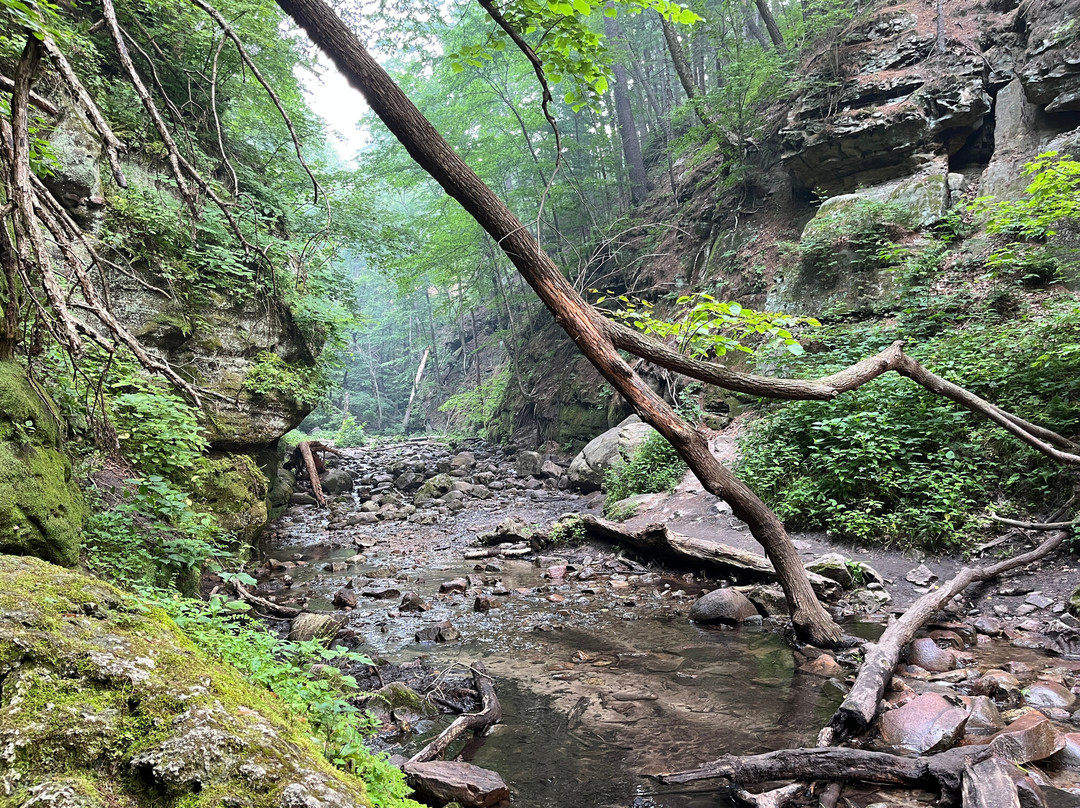 Parfrey's Glen-巴拉布必去景点
