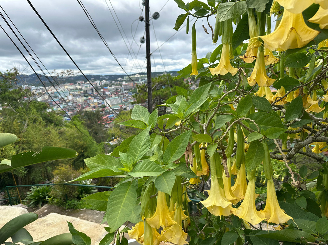 Mirador Heritage And Eco Park