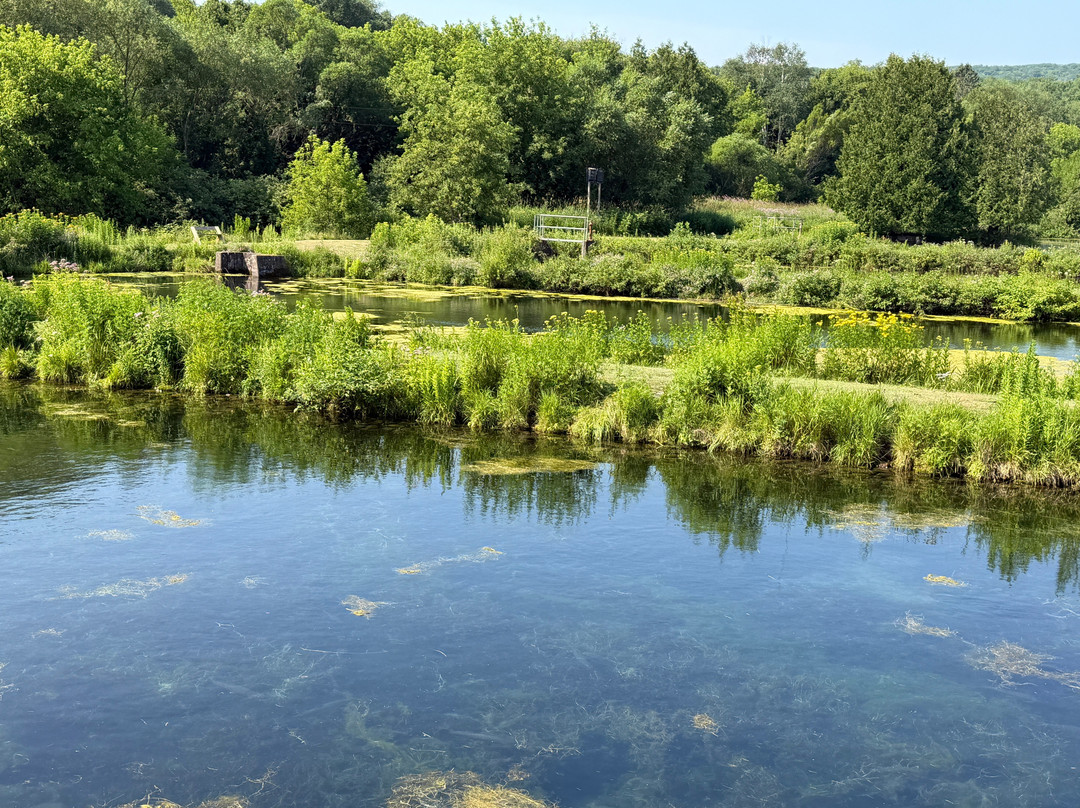 Les Voight State Fish Hatchery Visitor Center-Bayfield必去景点