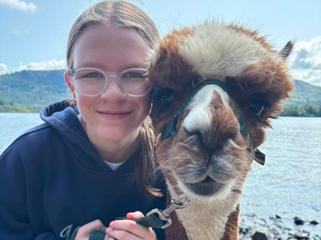 Alpacaly Ever After-Portinscale必去景点