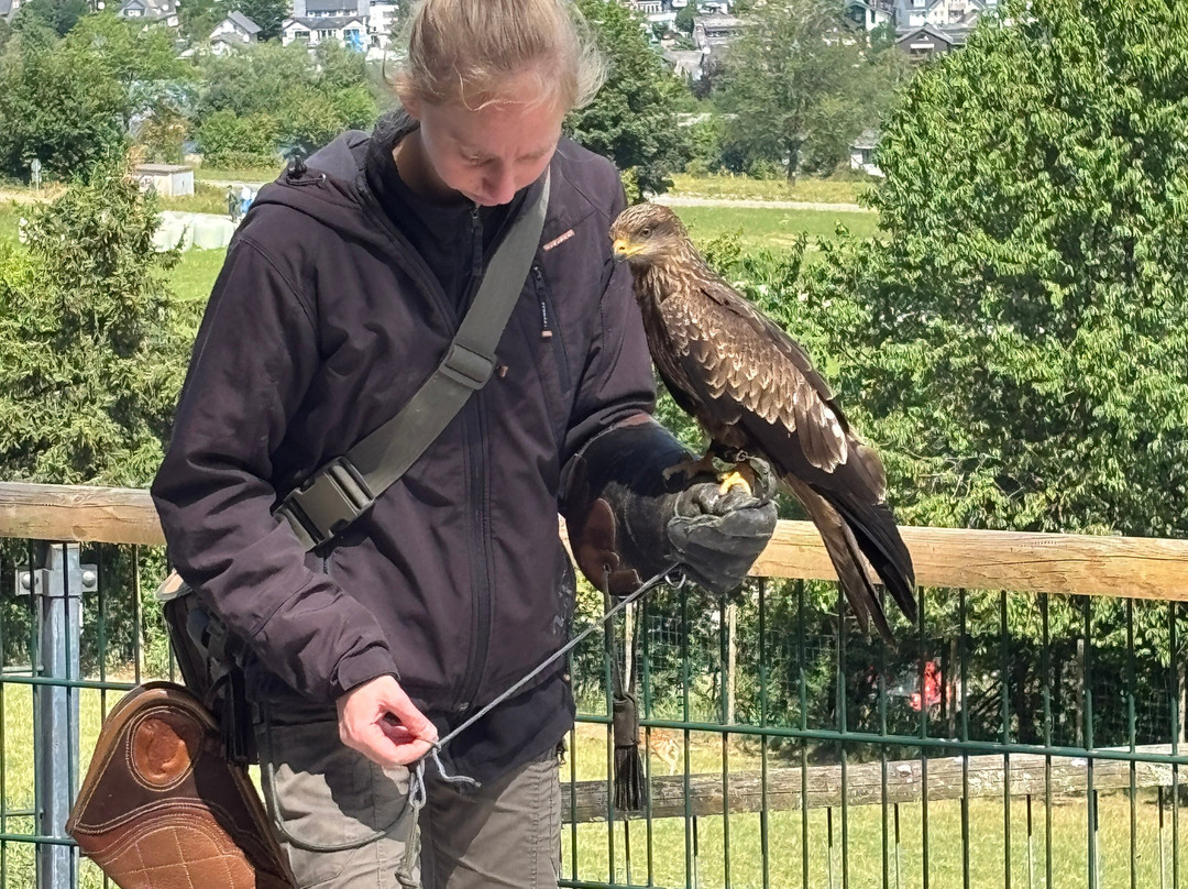 Wild- und Freizeitpark Willingen-Willingen必去景点