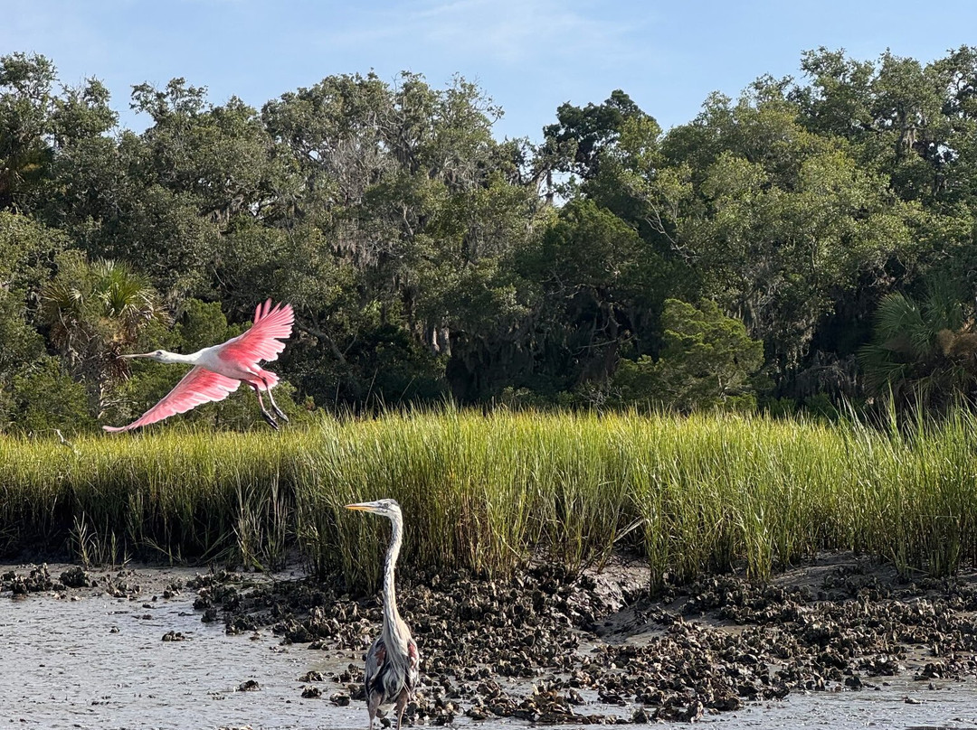 Amelia Island Nature Center-阿米莉亚岛必去景点