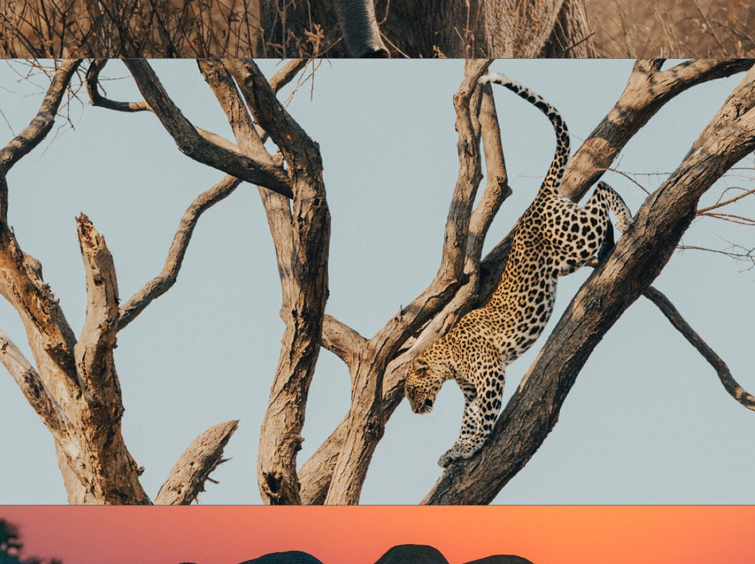 Aquila Safaris-奈瓦夏必去景点