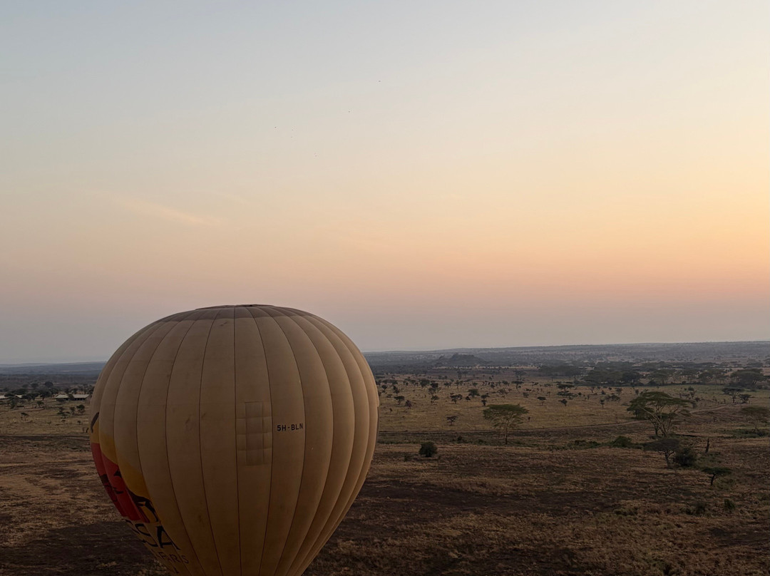 Nyssa Balloon Safaris-Seronera必去景点