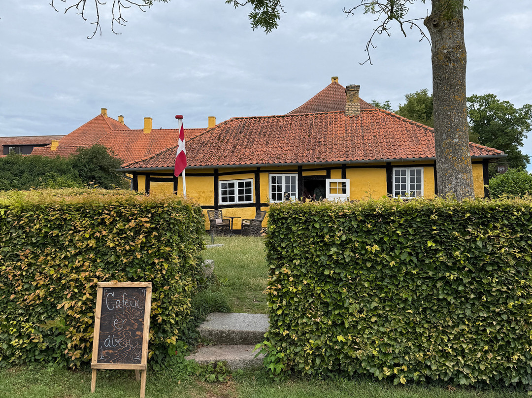 Café Skjalms Garden