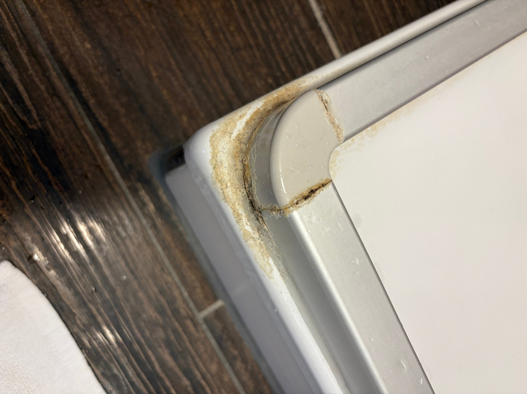 Dormero Moselhotel Koblenz-Alken主图