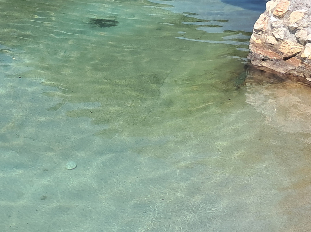 19 Summer Club-Santa Cesarea Terme必去景点