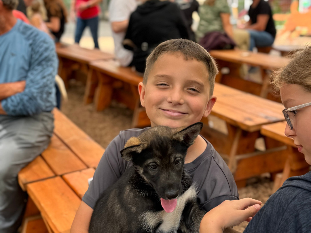 MIDOG - Michigan's Summer Sled Dog Center-Newberry必去景点