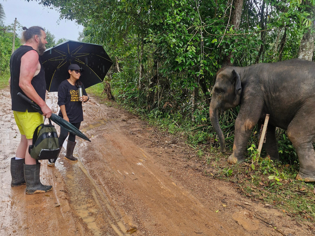 Following Giants - Krabi-Khlong Hin必去景点