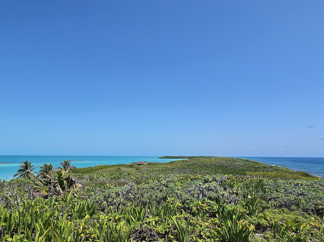 Isla Contoy National Park-Isla Contoy必去景点