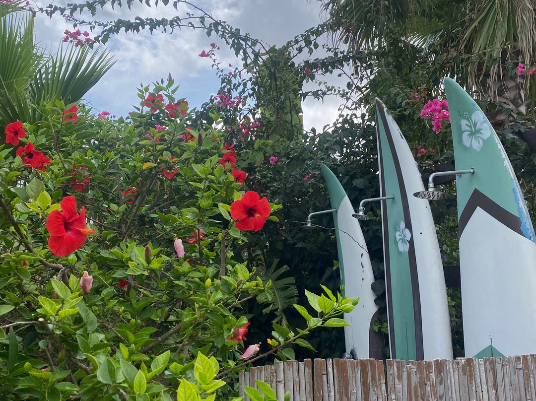 Floripa Yoga & Kitesurf House主图
