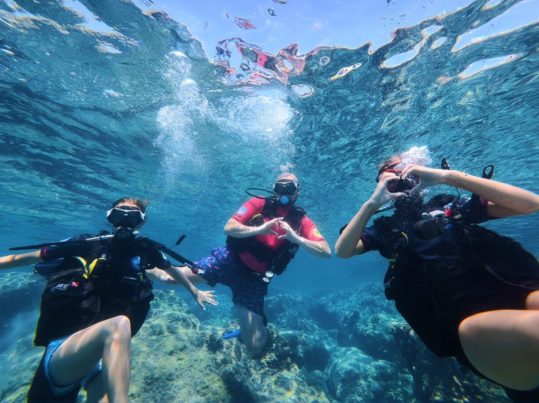 DP Diving-Alsancak - Karavas必去景点