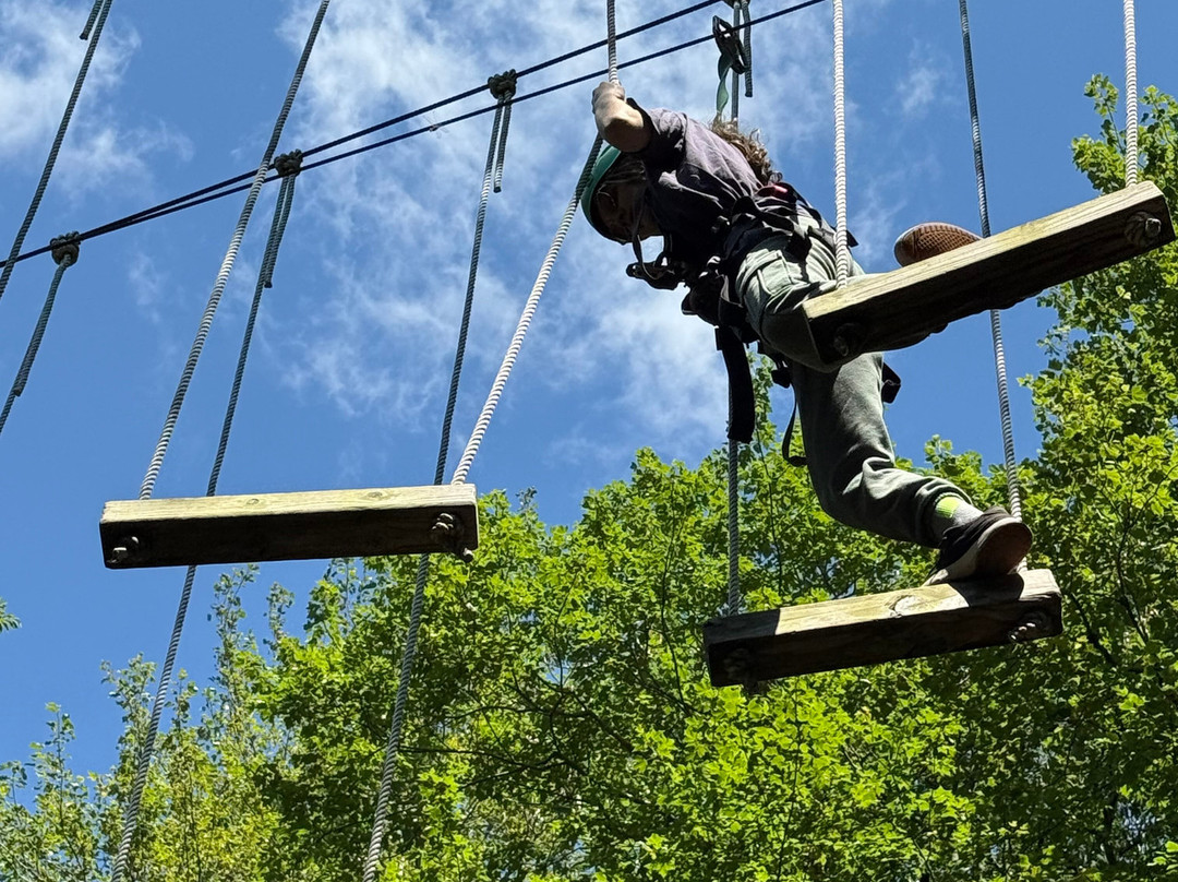 ArborTrek Canopy Adventures-斯托必去景点