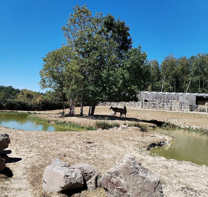 Parc Zoologique de Paris-Hermival-les-Vaux必去景点