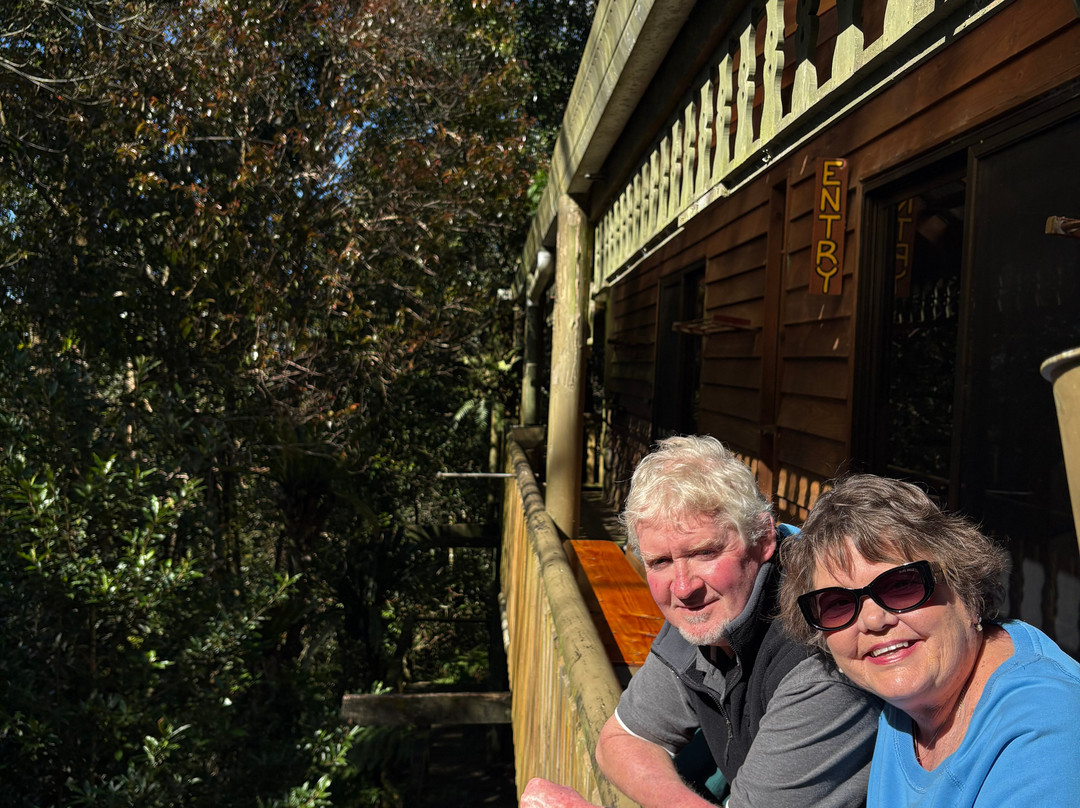 Albert's On Lyrebird