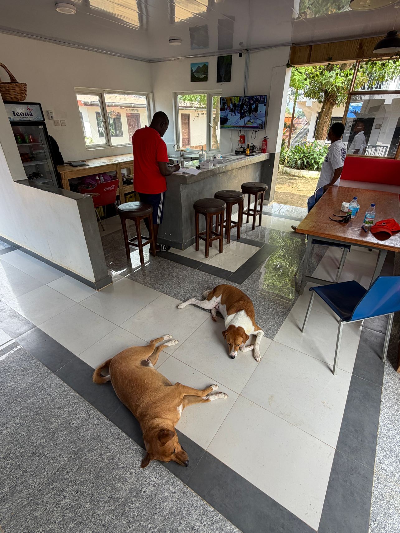 Lungi Airport Lodge-旅行者