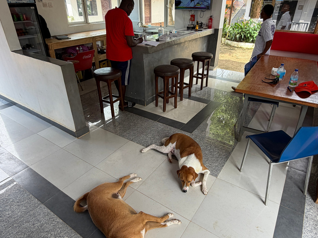 Lungi Airport Lodge主图