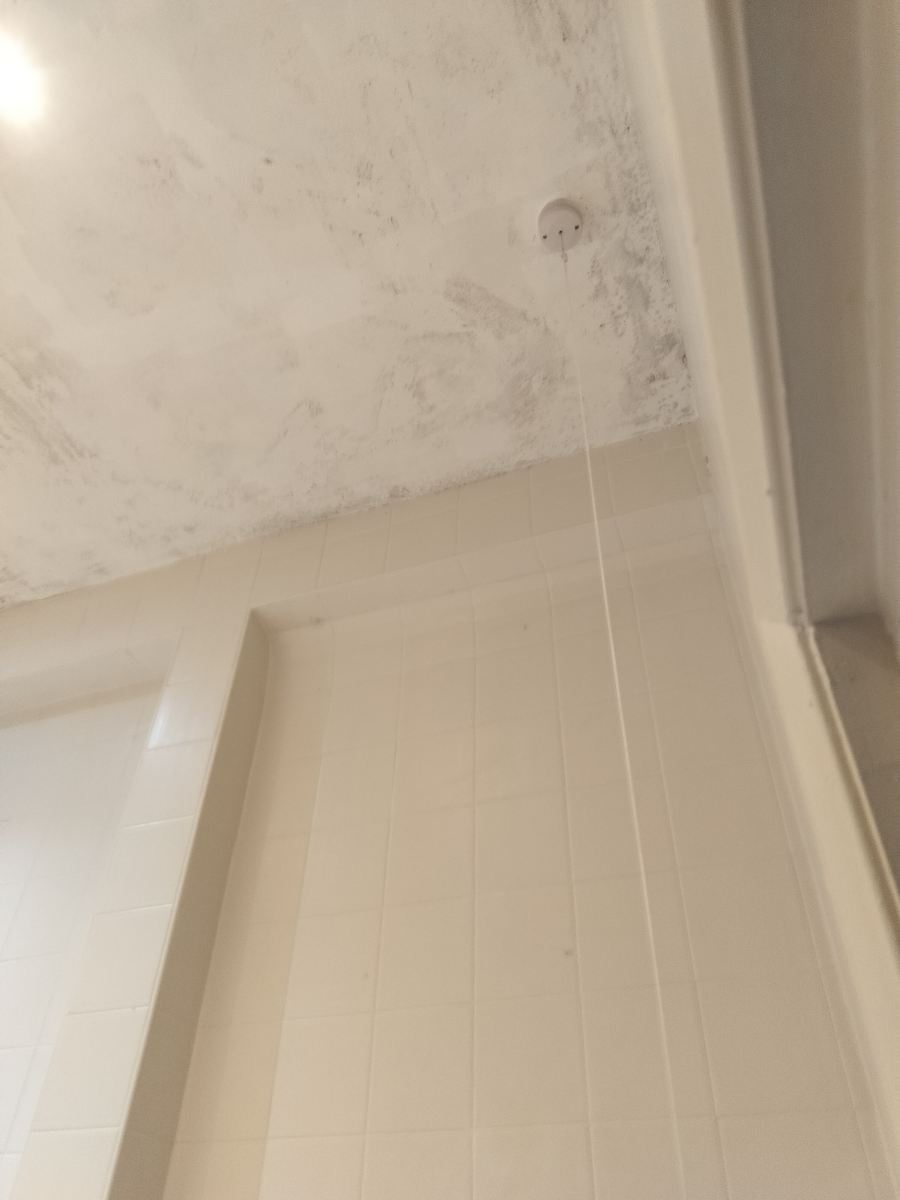 贝尔蒙特莱斯特酒店-旅行者