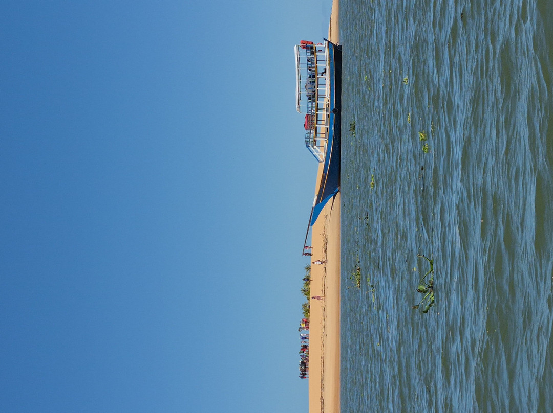 Farol da Foz Ecoturismo-Piacabucu必去景点