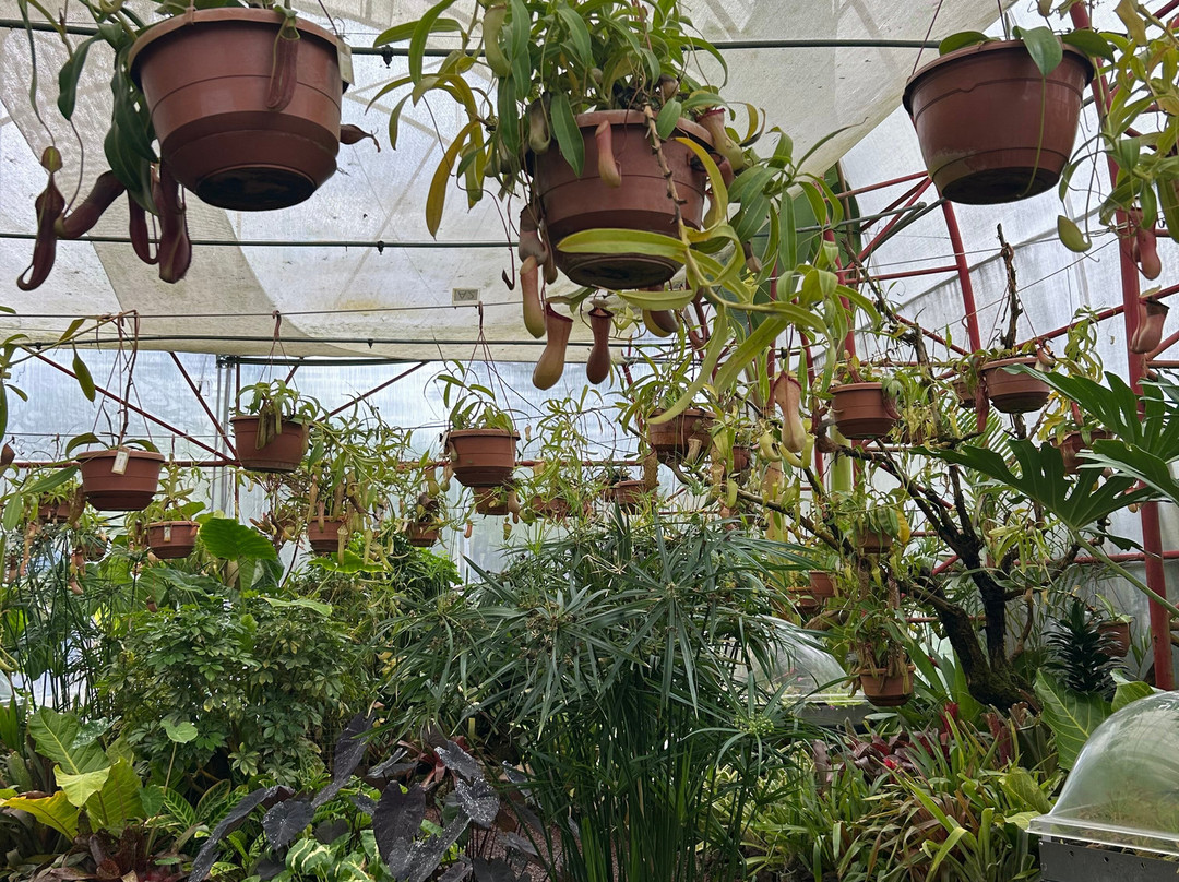 Jardín Botánico de Quito-基多必去景点