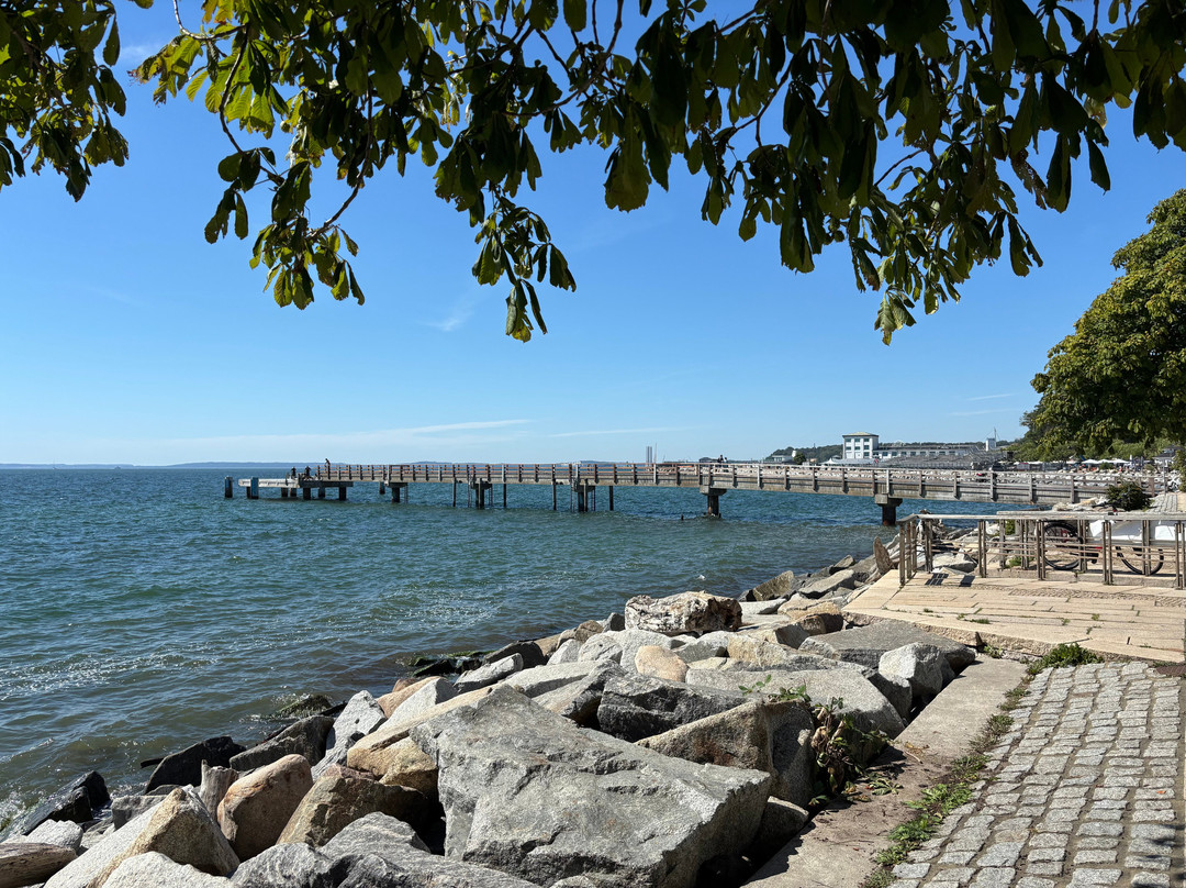 Stadthafen Sassnitz-萨斯尼茨必去景点