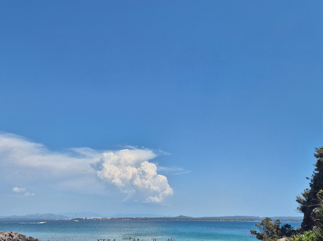 Spiaggia di Punta Nera-Carloforte必去景点