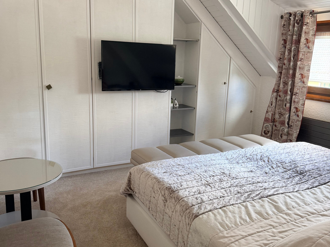 Hotel de la Truite & Spa le Petit Nautilus主图