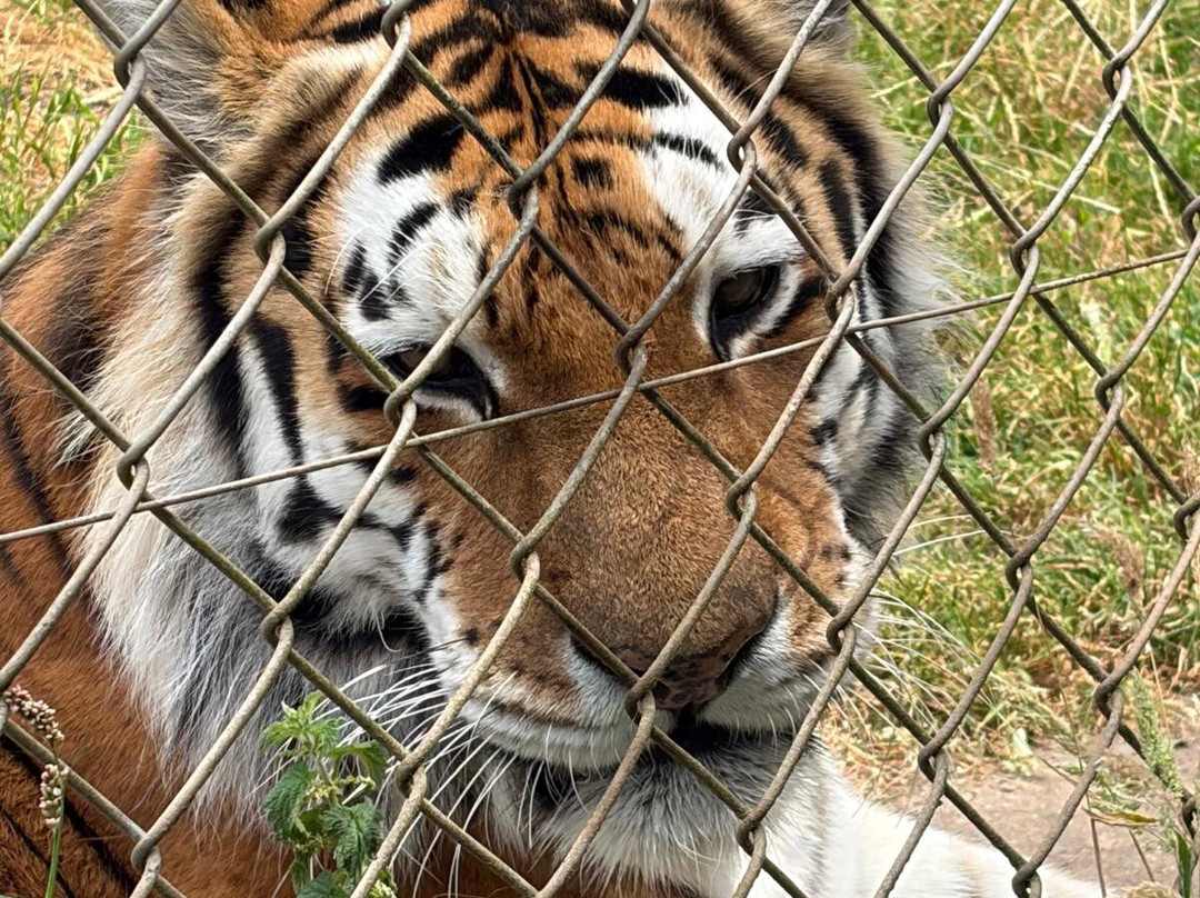 Dartmoor Zoological Society-Sparkwell必去景点