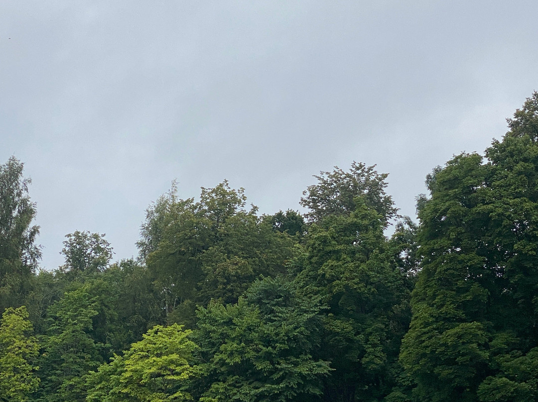 Park Romanovka-Kingisepp必去景点