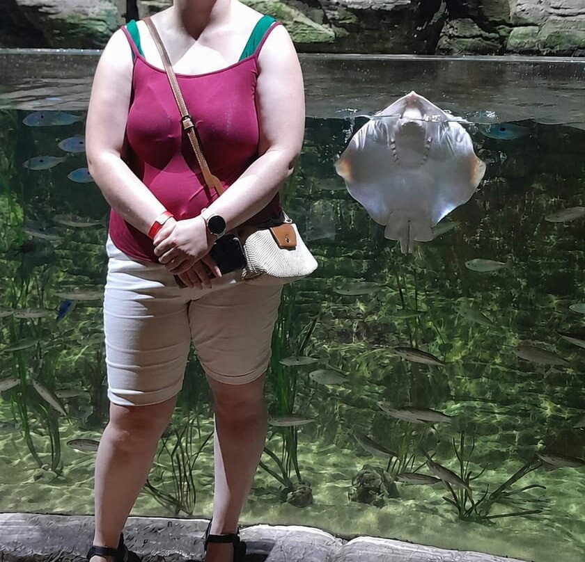 Malta National Aquarium-卡拉必去景点