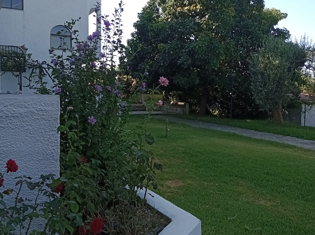 Ccb 布鲁柯斯酒店主图