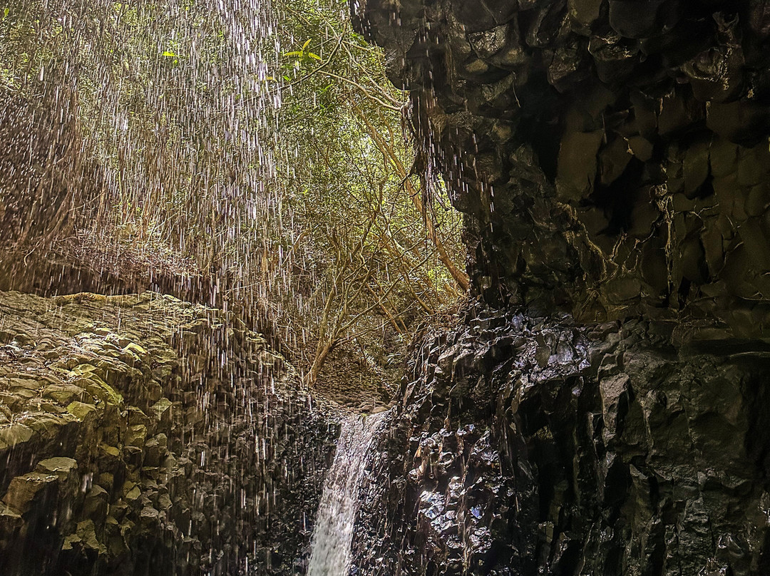 Vahio Hike-阿鲁埃必去景点