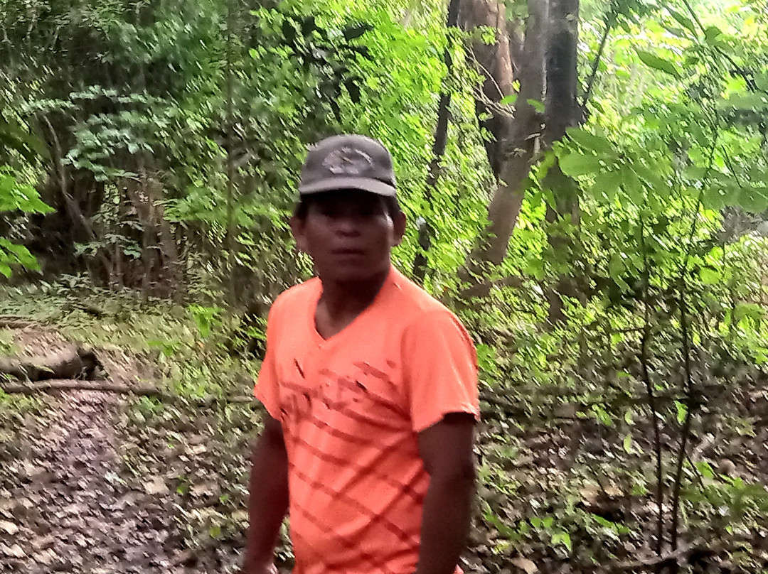 Lupuna Jungle Tours主图