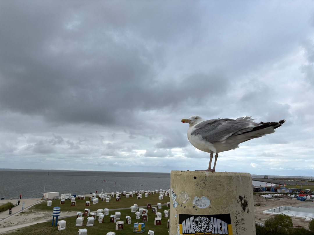 Nordsee-Strand-Norden必去景点