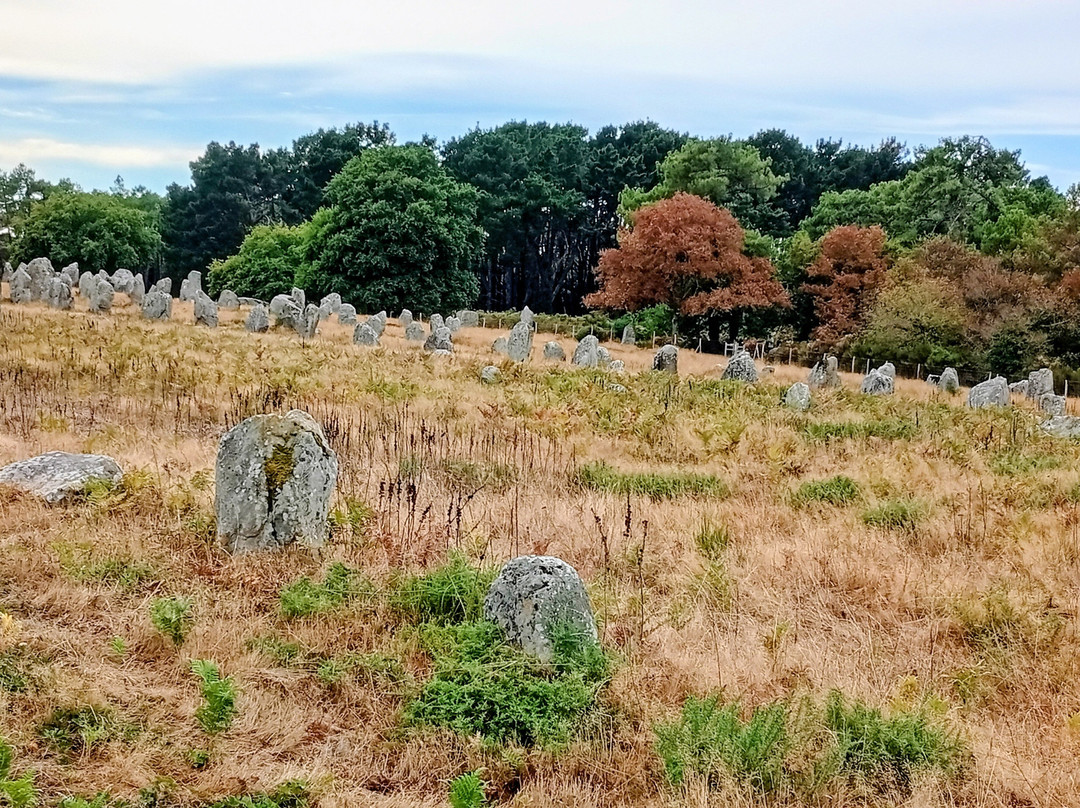 Megaliths of Carnac-卡纳克必去景点